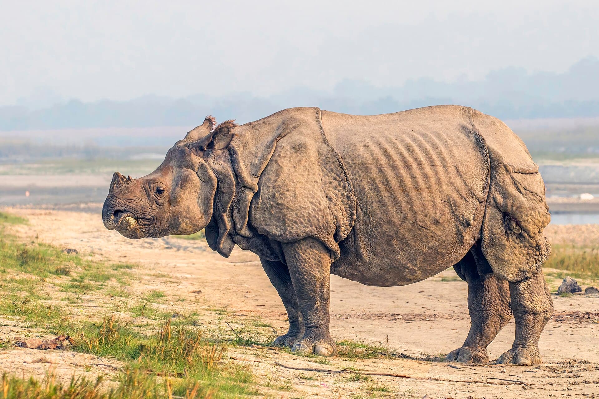 Chitwan